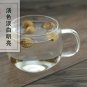 Xiang Sha Ren 500gCocklebur-like Amomum Fruit Fructus Amomi