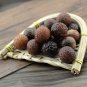 Wu Huan Zi 500g Fructus Sapindi Mukorossi Chinese Soapberry Fruit