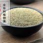 Qin Cai Zi 500g Celery Seed Apium Graveolens Seed Of Celery