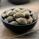 Pang Da Hai 500g Semen Sterculiae Lychnophorae Boat-fruited Scaphium Seed