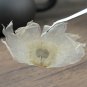 Mu Hu Die 500g Semen Oroxyli Indian Trum Etflower Seed