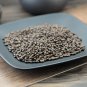 Jue Ming Zi 500g Cassia Seed Sickle Senna Seed Semen Cassiae