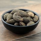 Gan Lan 500g Nucleus Olivaris Fruit of White Canarium Chinese White Olive