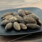 Gan Lan 500g Nucleus Olivaris Fruit of White Canarium Chinese White Olive