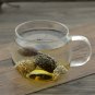 Gan Lan 500g Nucleus Olivaris Fruit of White Canarium Chinese White Olive