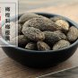 Gan Lan 500g Nucleus Olivaris Fruit of White Canarium Chinese White Olive