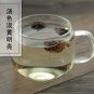 Cao Guo 500g Tsaoko Amomum Fruit Fructus Tsaoko