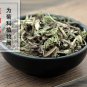 Pu Gong Ying 500g Mongolian Dandelion Herb Herba Taraxaci