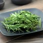 Zhu Ye Cha 500g Common Lophatherum Herb Herba Lophatheri