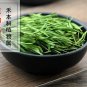Zhu Ye Cha 500g Common Lophatherum Herb Herba Lophatheri