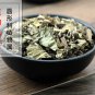 Ze Lan 500g Hiraute Shiny Bugleweed Herb Herba Lycopi