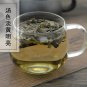 Xi Xian Cao 500g Herba Siegesbeckiae Common St.Paulswort Herb