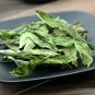Tian Ye Ju 500g Sweet Stevia Steruia Rebaudiana High-caloric Sweeteners