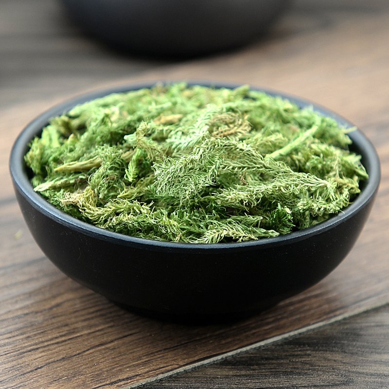 Shen Jin Cao 500g Common Clubmoss Herb Herba Lycopodii