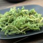 Shen Jin Cao 500g Common Clubmoss Herb Herba Lycopodii