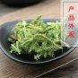 Shen Jin Cao 500g Common Clubmoss Herb Herba Lycopodii
