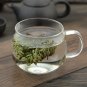 Juan Bai 500g Herba Selaginellae Tamariskoid Spikemoss Herb