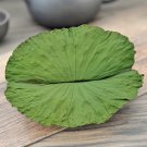 He Ye 500g Folium Nelumbinis Lotus Leaf Nelumbo Nucifera Gaertn.