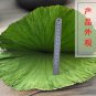 He Ye 500g Folium Nelumbinis Lotus Leaf Nelumbo Nucifera Gaertn.