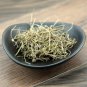 Gu Jing Cao 500g Buerger Pipewort Flower Flos Eriocauli