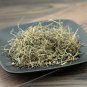 Gu Jing Cao 500g Buerger Pipewort Flower Flos Eriocauli