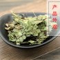 Feng Wei Zhu Zong Cao 500g Yunnan Spleenwort Herb Herba Asplenii Yunnanensis