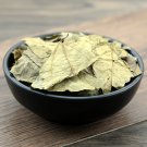 Bu Zha Ye 500g Folium Microcotis Microcos Paniculata.