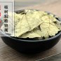 Bu Zha Ye 500g Folium Microcotis Microcos Paniculata.