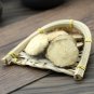 Ze Xie 500g Oriental Waterplantain Rhizome Rhizoma Alismatis