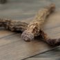 Suo Yang 500g Songaria Cynomorium Herb Herba Cynomorii
