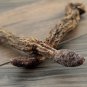 Suo Yang 500g Songaria Cynomorium Herb Herba Cynomorii