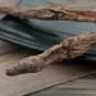 Suo Yang 500g Songaria Cynomorium Herb Herba Cynomorii