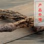 Suo Yang 500g Songaria Cynomorium Herb Herba Cynomorii