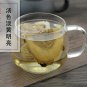 Song Mu Gen 500g Aralia Chinensis L. Radix Araliae Chinensis Root of Chinese Aralia