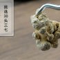 San Qi 500g Pseudoginseng Sanchi Radix Notoginseng Pseudoginseng Root