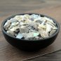 Shi Jue Ming 500g Abalone Shell Concha Haliotidis Haliotis Diversicolor Reeve