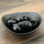 Qiang Lang 500g Catharsius Dung Beetle Catharsius Molossus (Linnaeus).