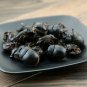 Qiang Lang 500g Catharsius Dung Beetle Catharsius Molossus (Linnaeus).