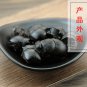 Qiang Lang 500g Catharsius Dung Beetle Catharsius Molossus (Linnaeus).