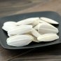 Hai Piao Xiao 500g Cuttlebone Ossa Sepiae Os Sepiae