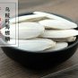 Hai Piao Xiao 500g Cuttlebone Ossa Sepiae Os Sepiae