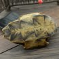 Gui Ban 500g Tortoise Shell Carapax et Plastrum Testudinis