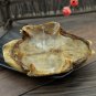 Gui Ban 500g Tortoise Shell Carapax et Plastrum Testudinis