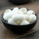 Can Jian Ke 500g Silkworm Cocoon Bombyx Mori L.