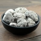 Hai Fu Shi 500g Bryozoatum Costazia Aculeata Canu et Bassler Costazia Costazii Audouin