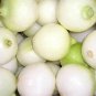 Premium 500 Seeds CRYSTAL WHITE PEARL ONION Allium Cepa Seeds