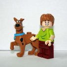 Store Block Scooby Doo and Shaggy Cartoon movie set  Minifigure From US