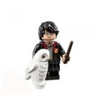 Harry Potter with owl Custom minifigure  Minifigure Toy From US