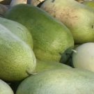 Store Fresh 50 Seeds Charleston Gray Watermelon Citrullus Lanatus Red Fruit Melon