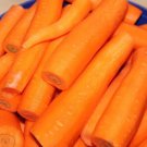 Store Fresh 1500 Seeds Danvers Carrot Dark Orange Daucus Carota Vegetable